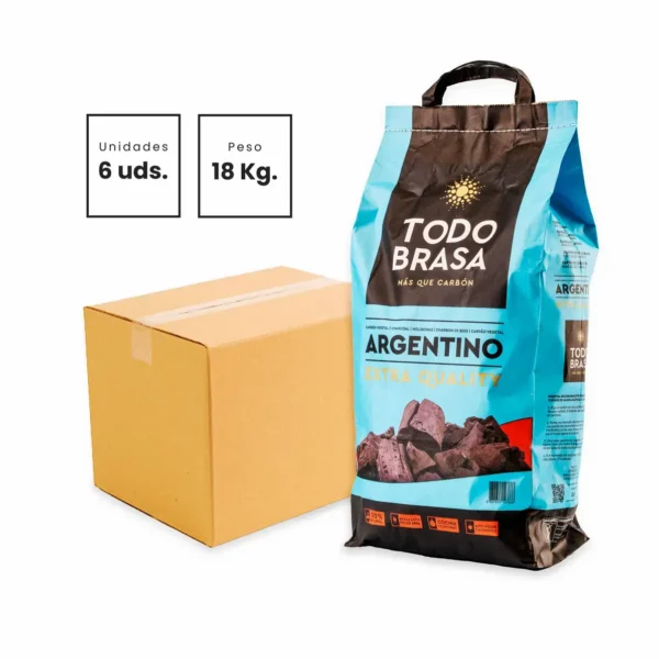 Bolsa de carbón argentino
